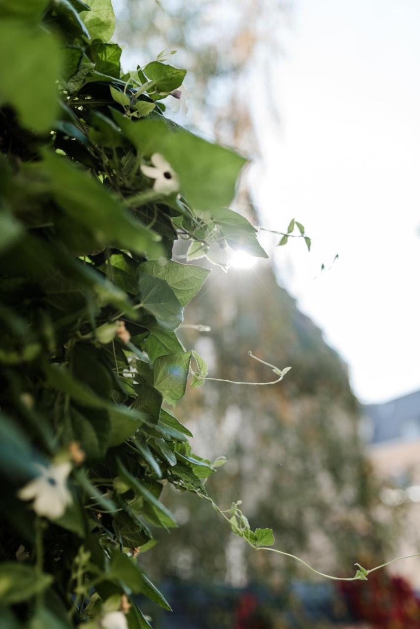 Sommers Hotel Altes Posteck Reichenbach im Vogtland Exteriér fotografie